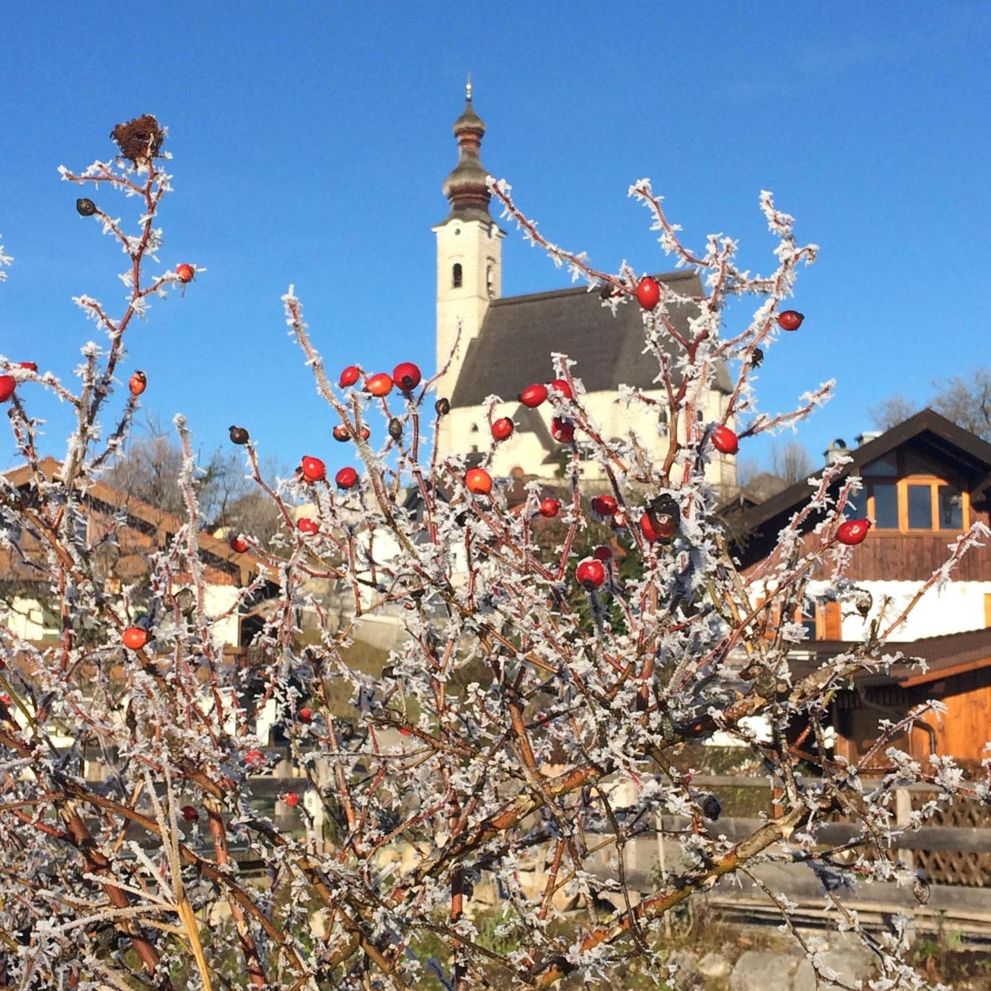 Appartamento Am Moosbach Anger